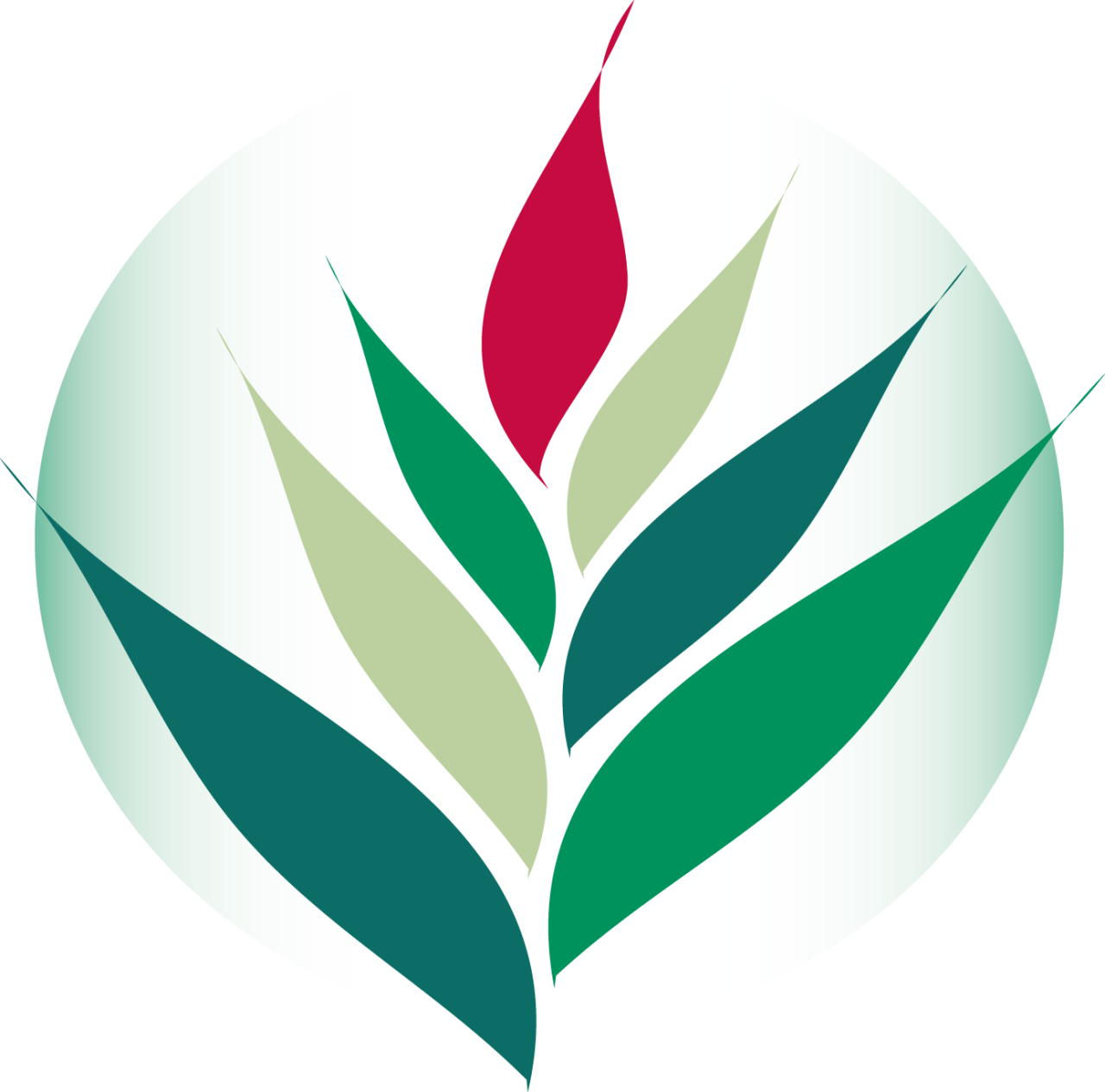 signification des maux du corps