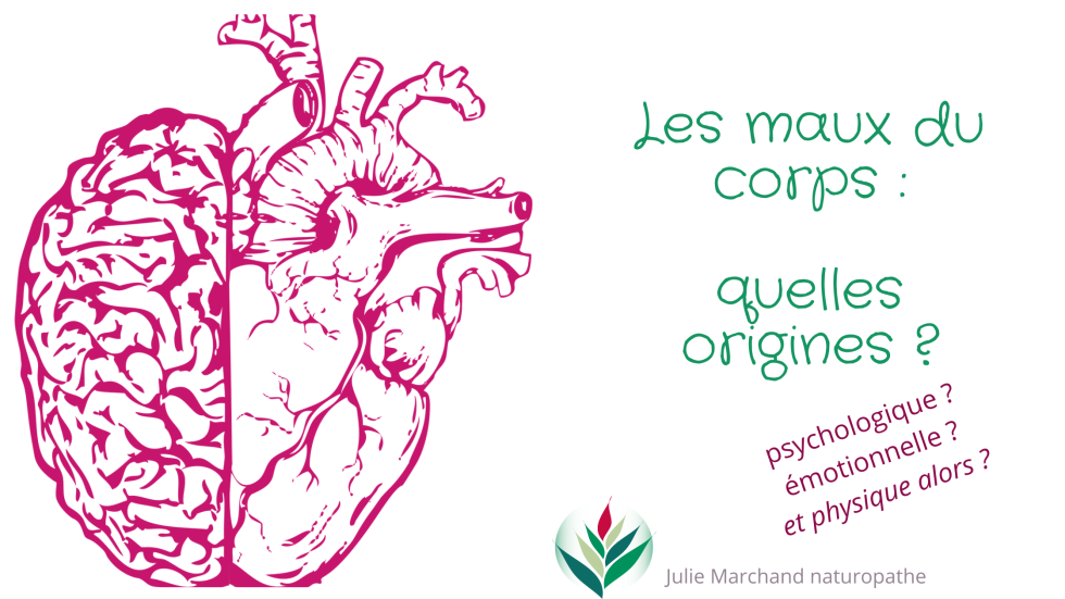 Les maux du corps, quelle signification ? Quelles origines