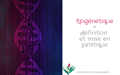 L&rsquo;épigénétique : définition et mise en pratique